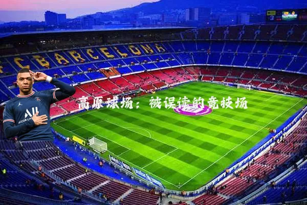 高原球场:被误读的竞技场